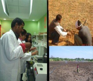 Soil Testing