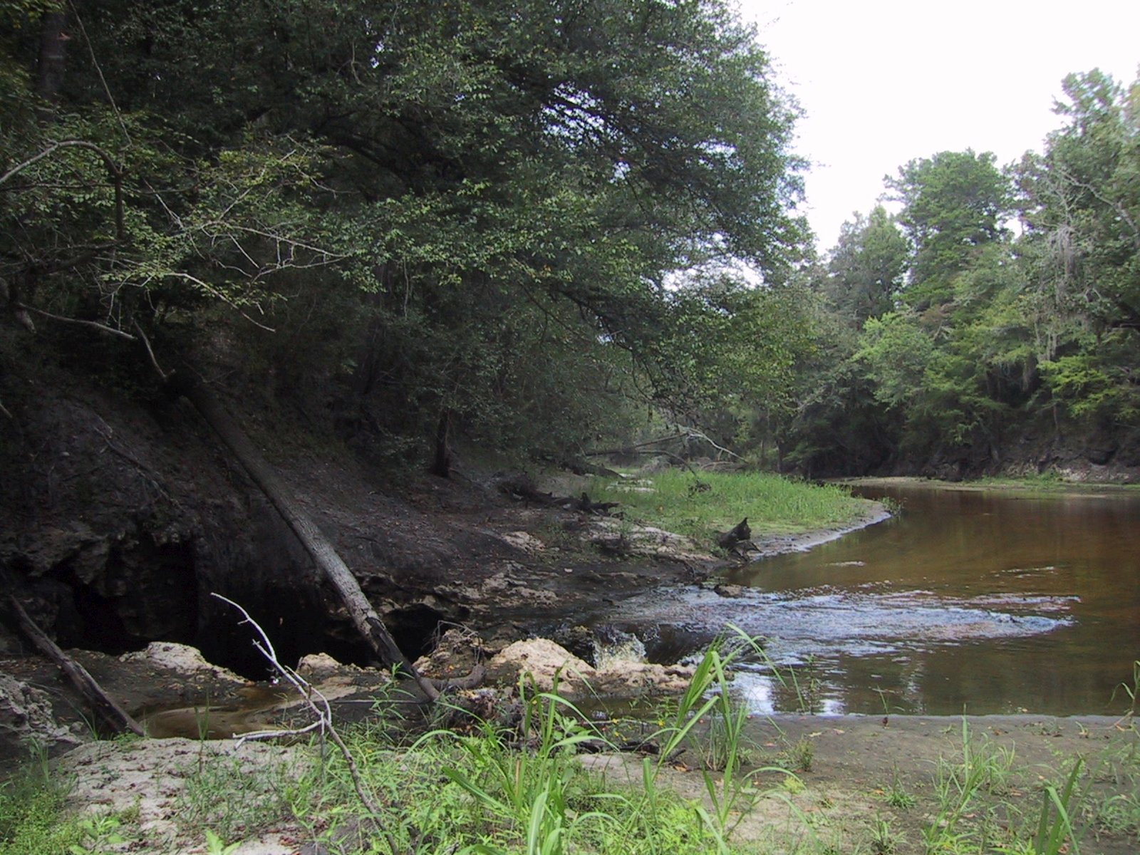 Surface & Ground Water